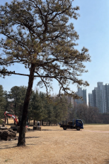 ĳ����� �ſ� ģ���Ͻó׿�
�ٵ� �峭ġ�°�