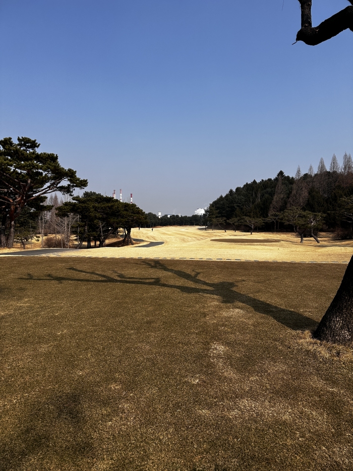 [�ݰ�] �̿��ı�