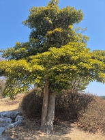 �ڽ� �ܵ� ���ƿ�. ���ҵ� ���ұ���....