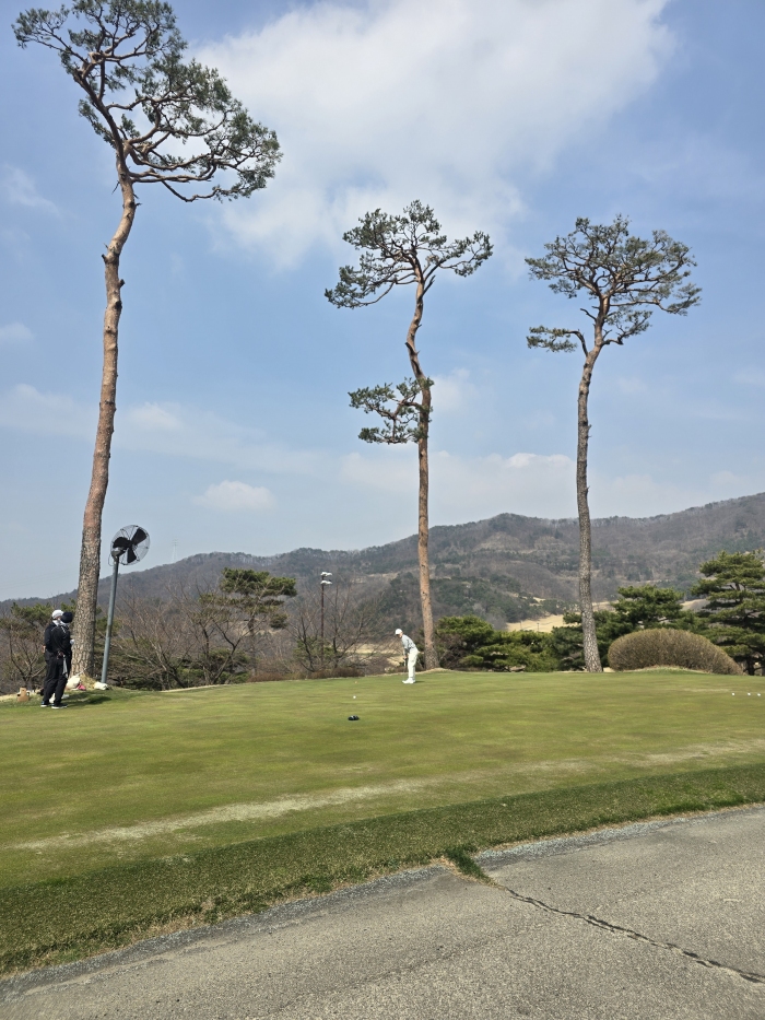 [�ȼ����׽�Ʈ] �̿��ı�