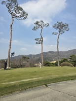 �η�η� �����մϴ�. Ŭ���Ͽ� ���� ��.����