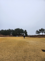 ����cc
������ �Բ��� 2���÷���
������