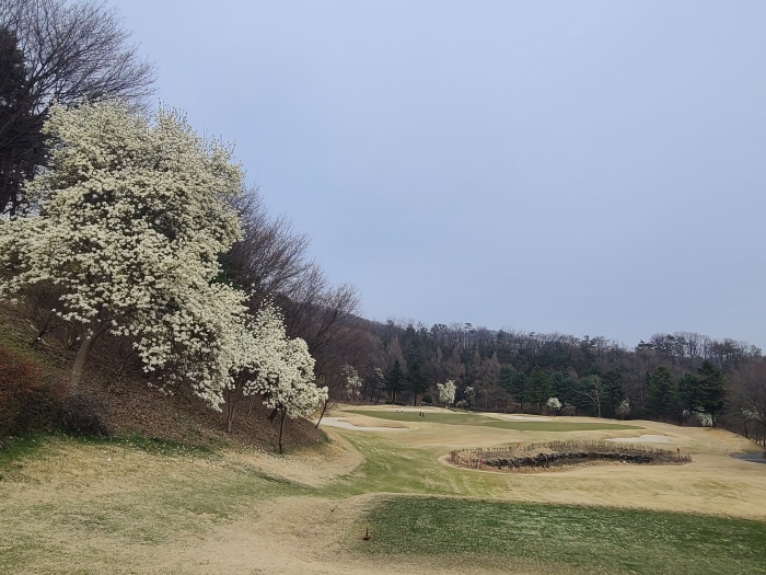 [88] �̿��ı�