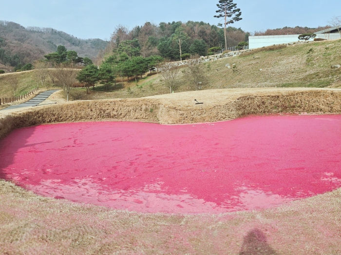 [������] �̿��ı�