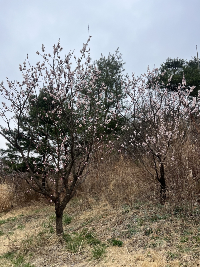 [����] �̿��ı�