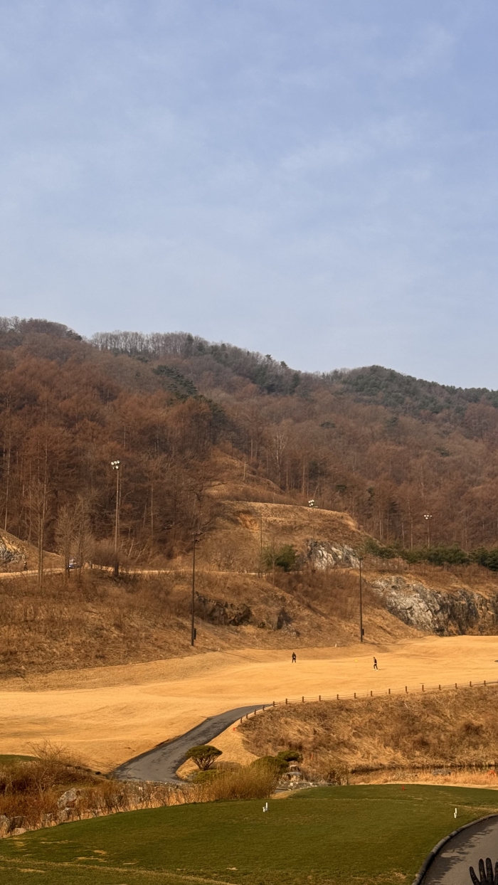 [������] �̿��ı�