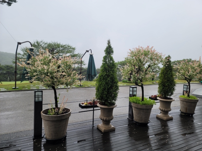 [SG�Ƹ��ٿ�] �̿��ı�