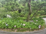 ��������  �� ��������  �缭������� �̻ڰ�  ...