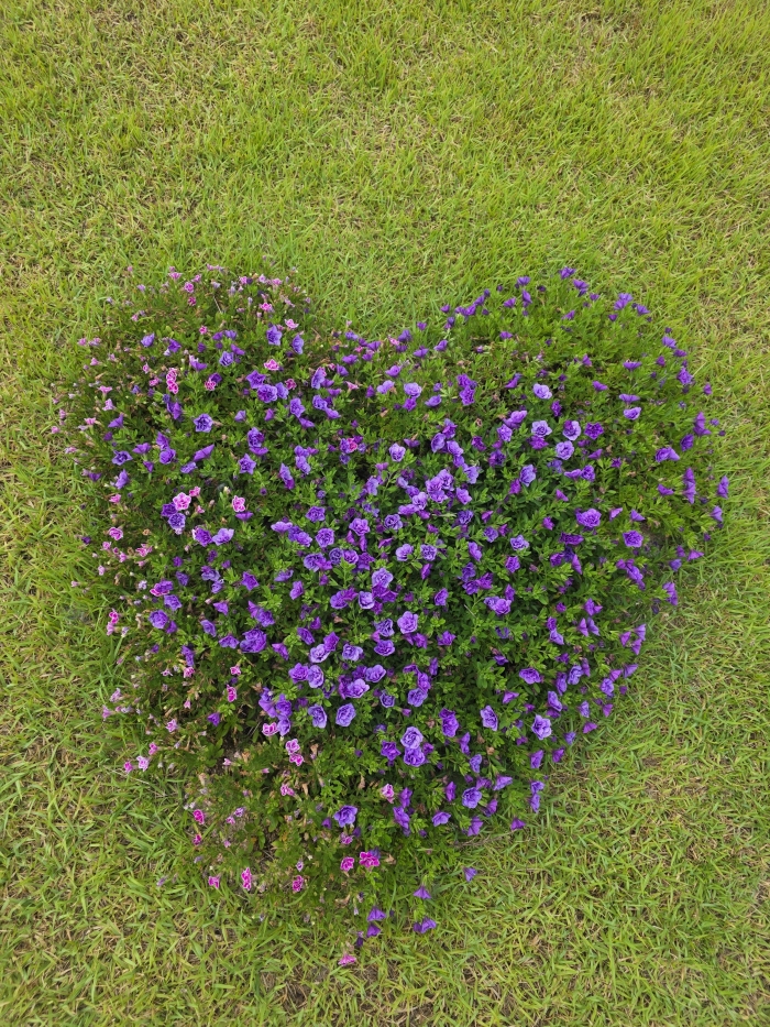 [] �̿��ı�