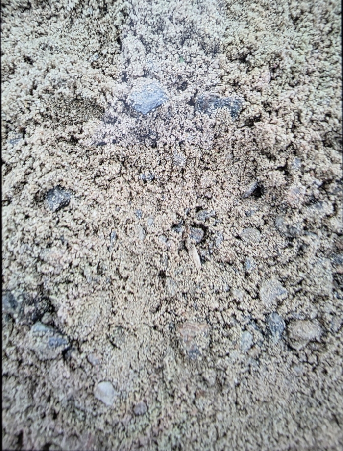 [���ڸ���] �̿��ı�